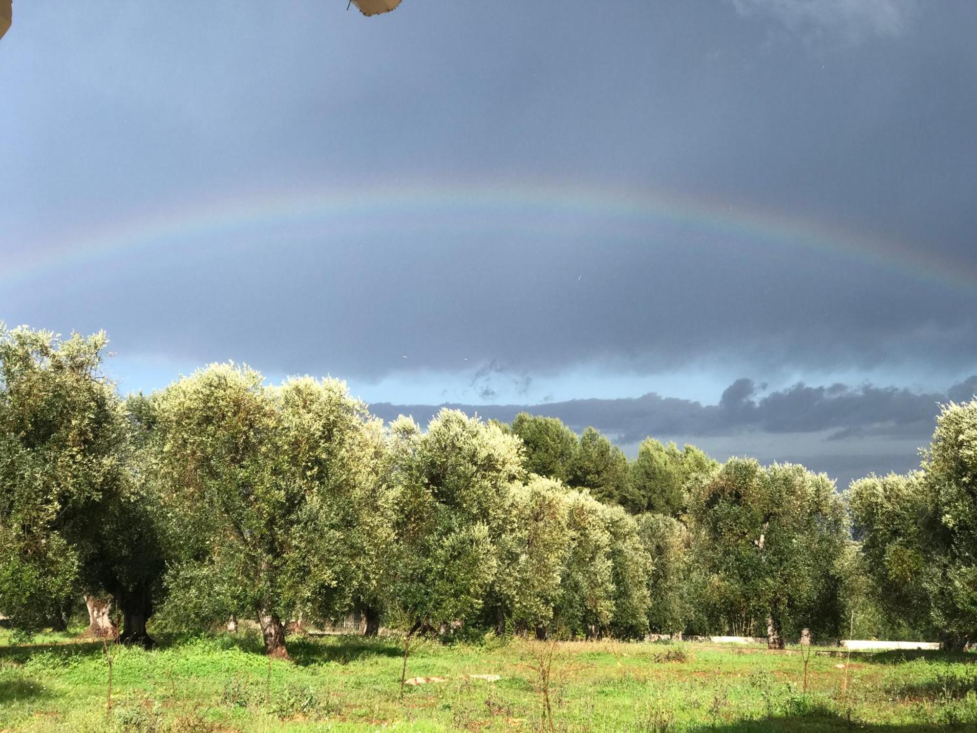 Tenuta La Pomona Ostuni Eksteriør billede